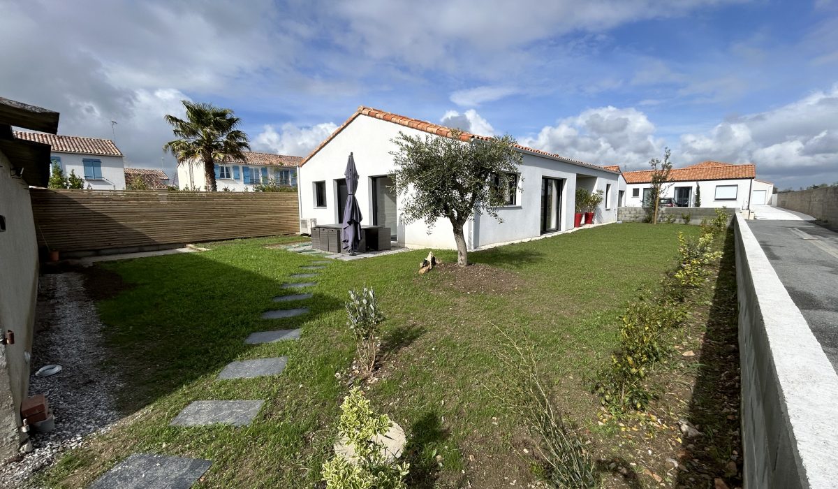 Végétalisation avec arbres et arbustes de meilleurs choix