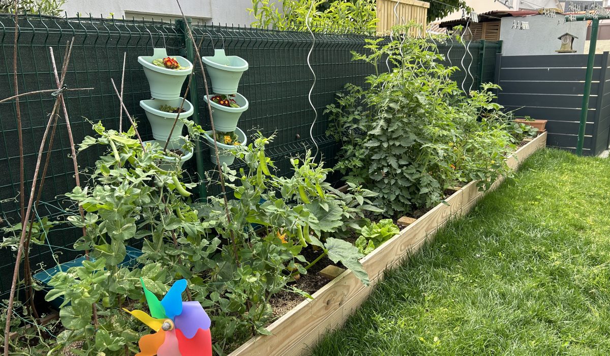 Bac potager en douglas