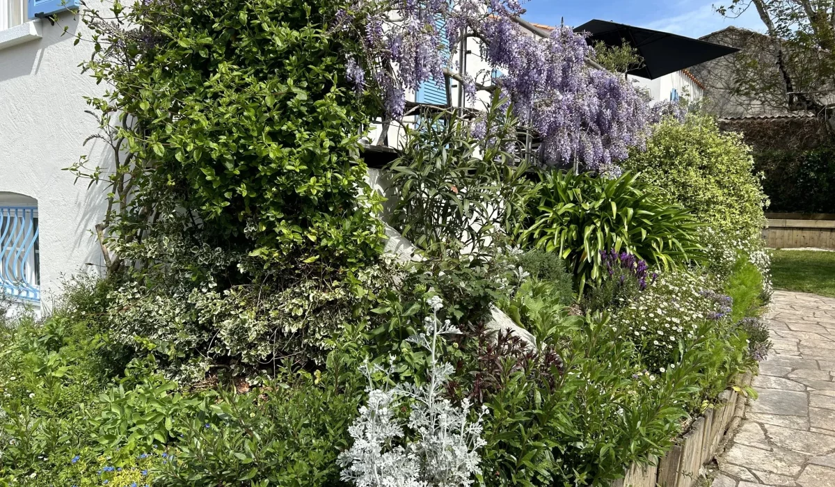 Massif avec bordures bois et vivaces