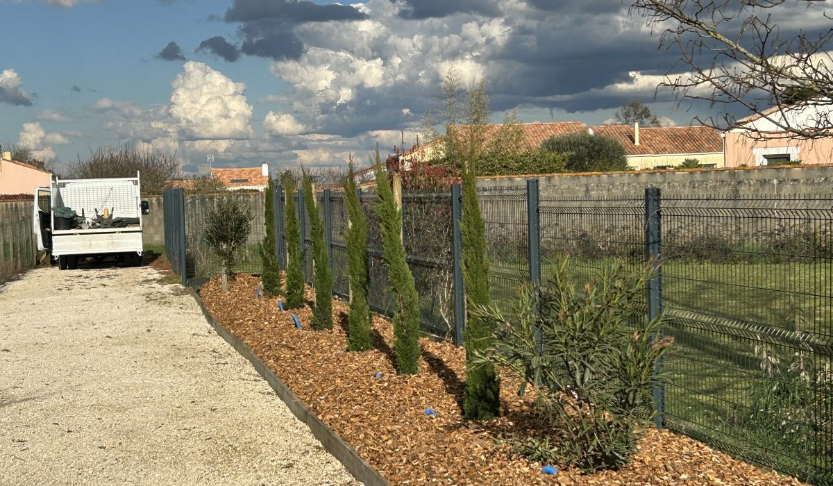 Végétalisation d'allée